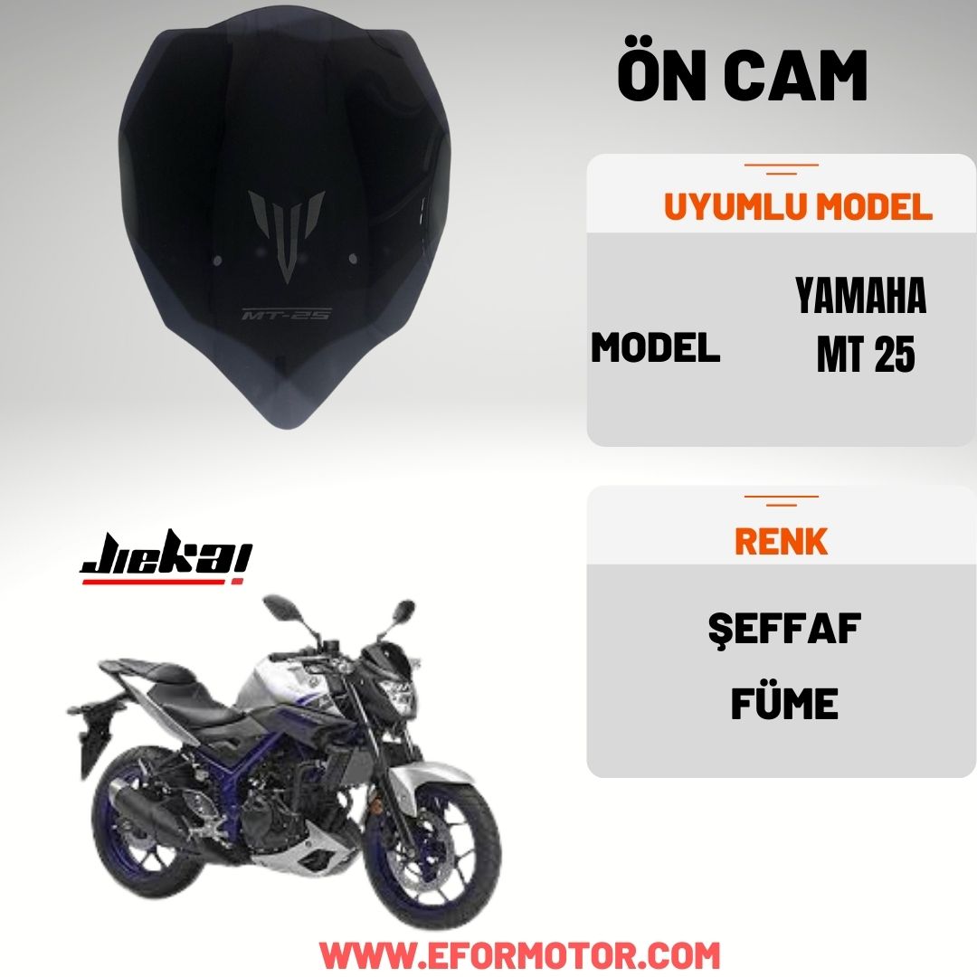 YAMAHA MT-25 ÖN CAM